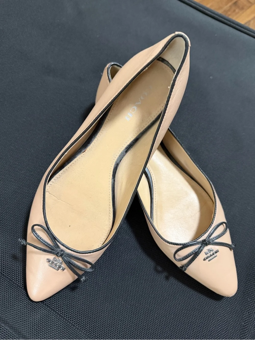 Coach women pointed
